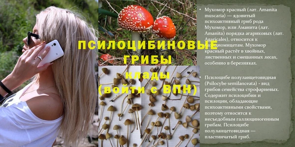 меф Баксан
