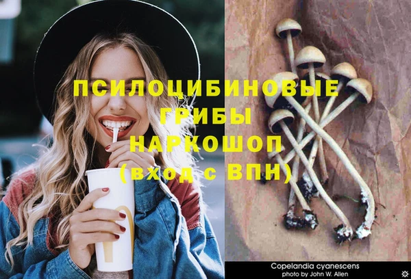 мет Балахна