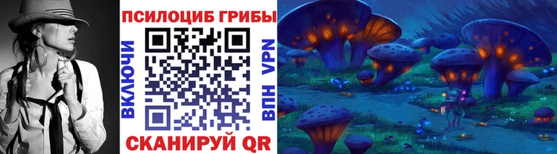 Псилоцибиновые грибы GOLDEN TEACHER  наркошоп  Грязовец 